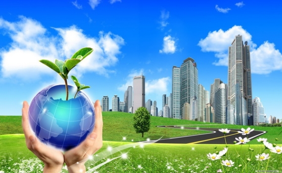 Chính sách về sức khoẻ lao động và môi trường